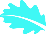 Hi! I’m  Christoher  UX designer - pg模拟器1